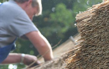 professional Hollywaste thatchers